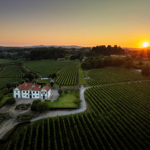 Vinhos Verdes reforçam presença e compromisso com o mercado brasileiro em 2025