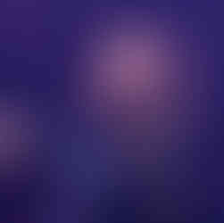 Warung Day Festival na Pedreira Paulo Leminski com público e palco iluminado