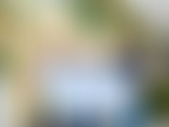 Warung Day Festival em Curitiba com ação social e doação ao Hospital Pequeno Príncipe