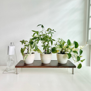custom self-watering plant setup