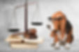 Cute domestic dog and judge's gavel.jpg