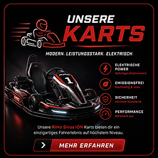 Unsere Karts - Rimo