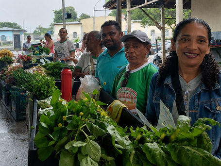 Agricultores do sul de Roraima criam sistema coletivo de produção orgânica