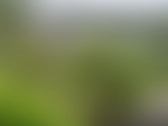 Trilhas e cachoeiras em Roraima: como se aventurar com segurança