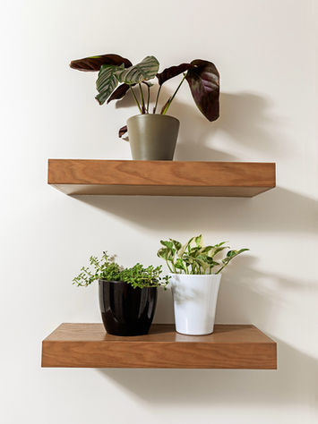 Two wooden floating shelves mounted on a white wall bring a touch of elegance to your Edmonton home. Each shelf, a testament to thoughtful interior design, holds two potted plants of different varieties and colors.