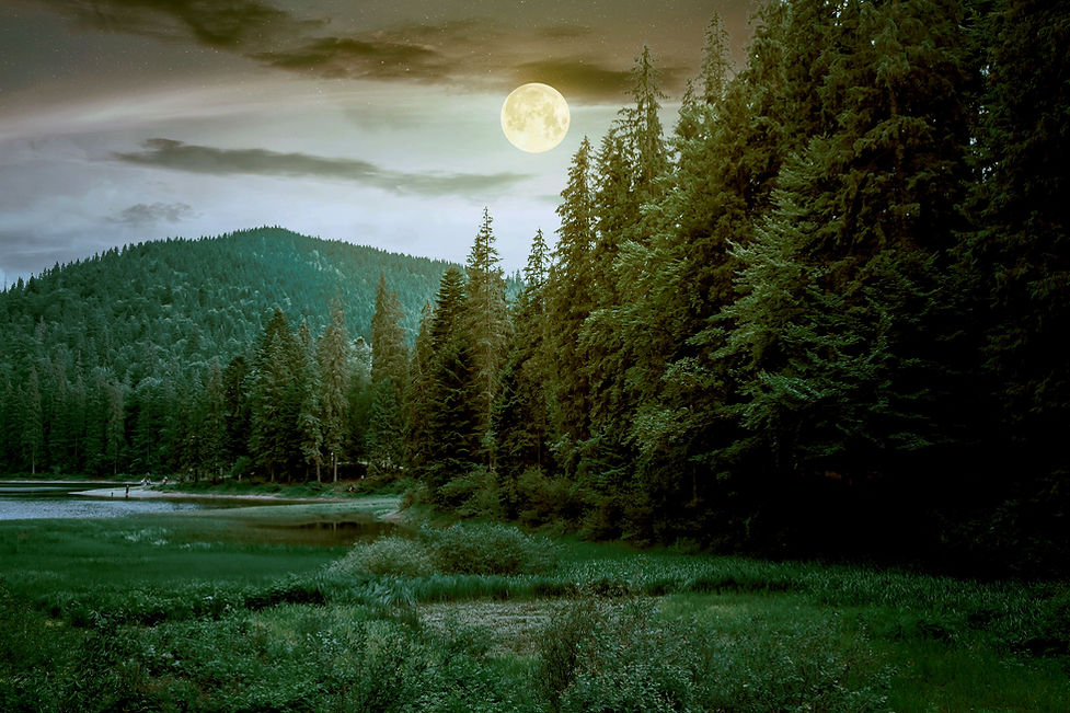 Full-Moon-Over-Forest_edited.jpg