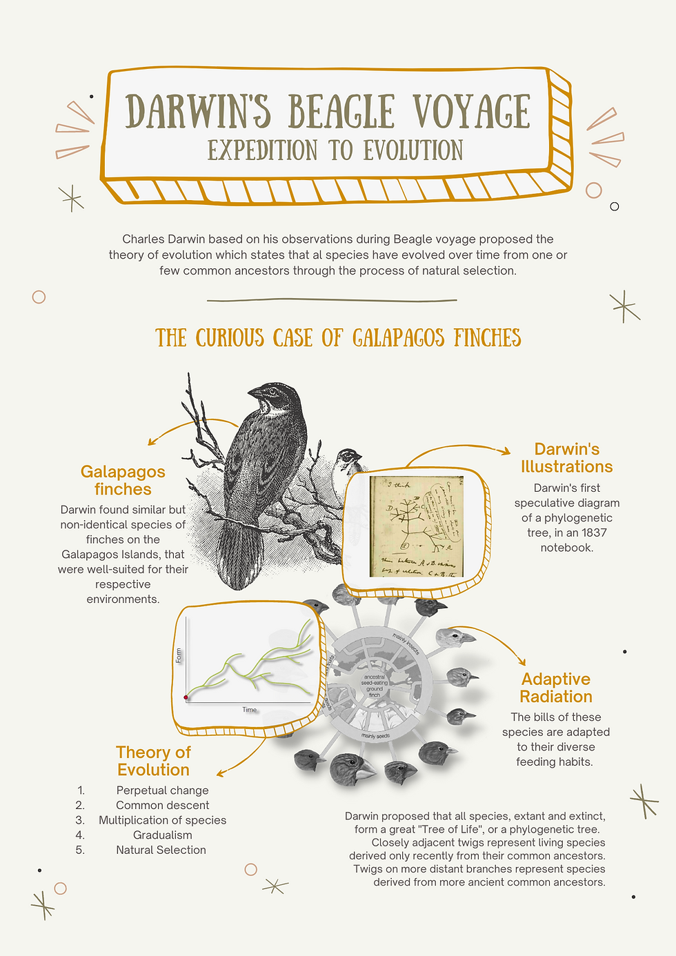 Darwin's Beagle Voyage
