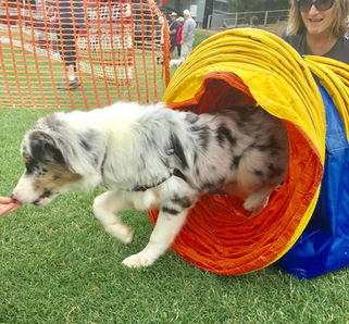 Winter training progresses...