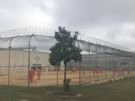 I.C.E Faces Allegations of Forced Sterilization