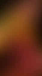 Unfurling Domesticity - midnight visitor to our rammed earth altar