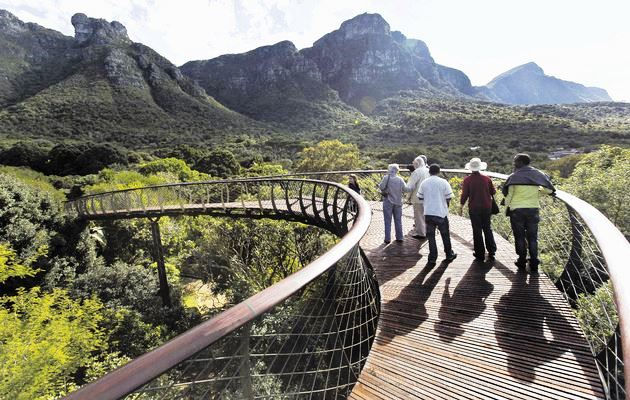 The Walkway Kirstenbosch