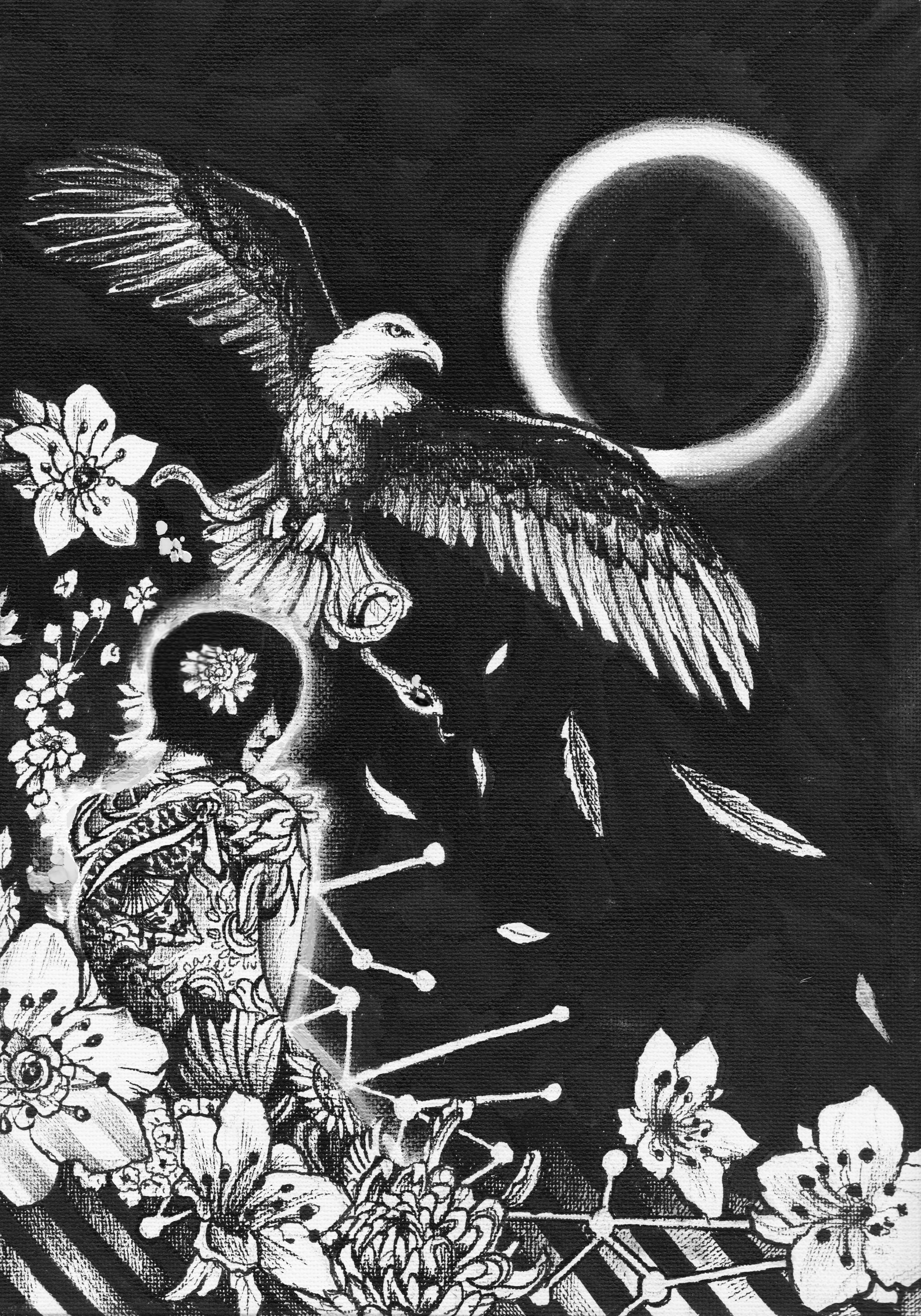Take Flight
