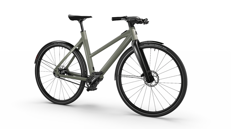 Asfalt Ultra X20 E-Bike