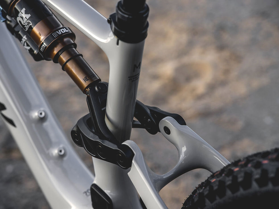 Amflow PX Carbon_34.jpg