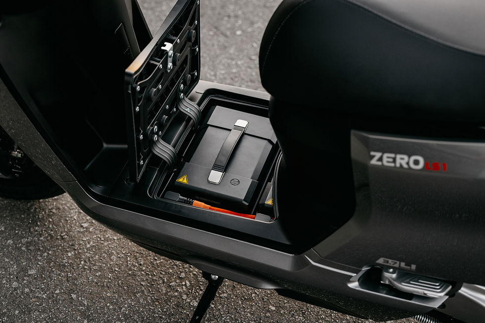 Zero LS1 (11).jpg