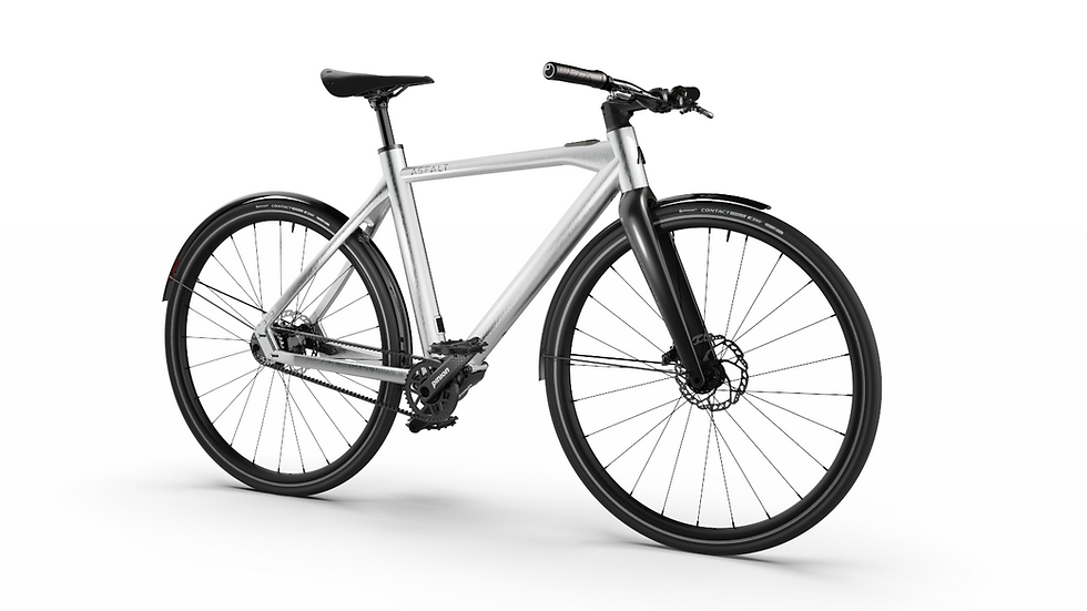 E-Bike Asfalt Ultra X20 – Leicht. Stark. Stilvoll.