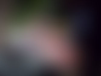 Why Are Brand Values Important?