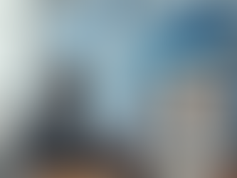 The Authentic Leader in a Complex World: Why Global Citizenship Starts with Cultural Intelligence