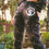 Thumbnail: ATHENA FLEECE JOGGER SET