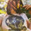 Thumbnail: NYX CROPPED TEE