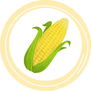 Коли дітям можна кукурудзу?