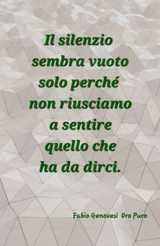 IL SILENZIO SEMBRA VUOTO - Fabio Genovesi