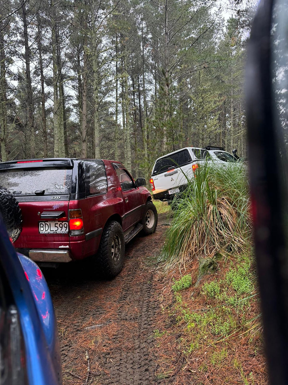 Waiuku Forest - Saturday 13th Sept 2025