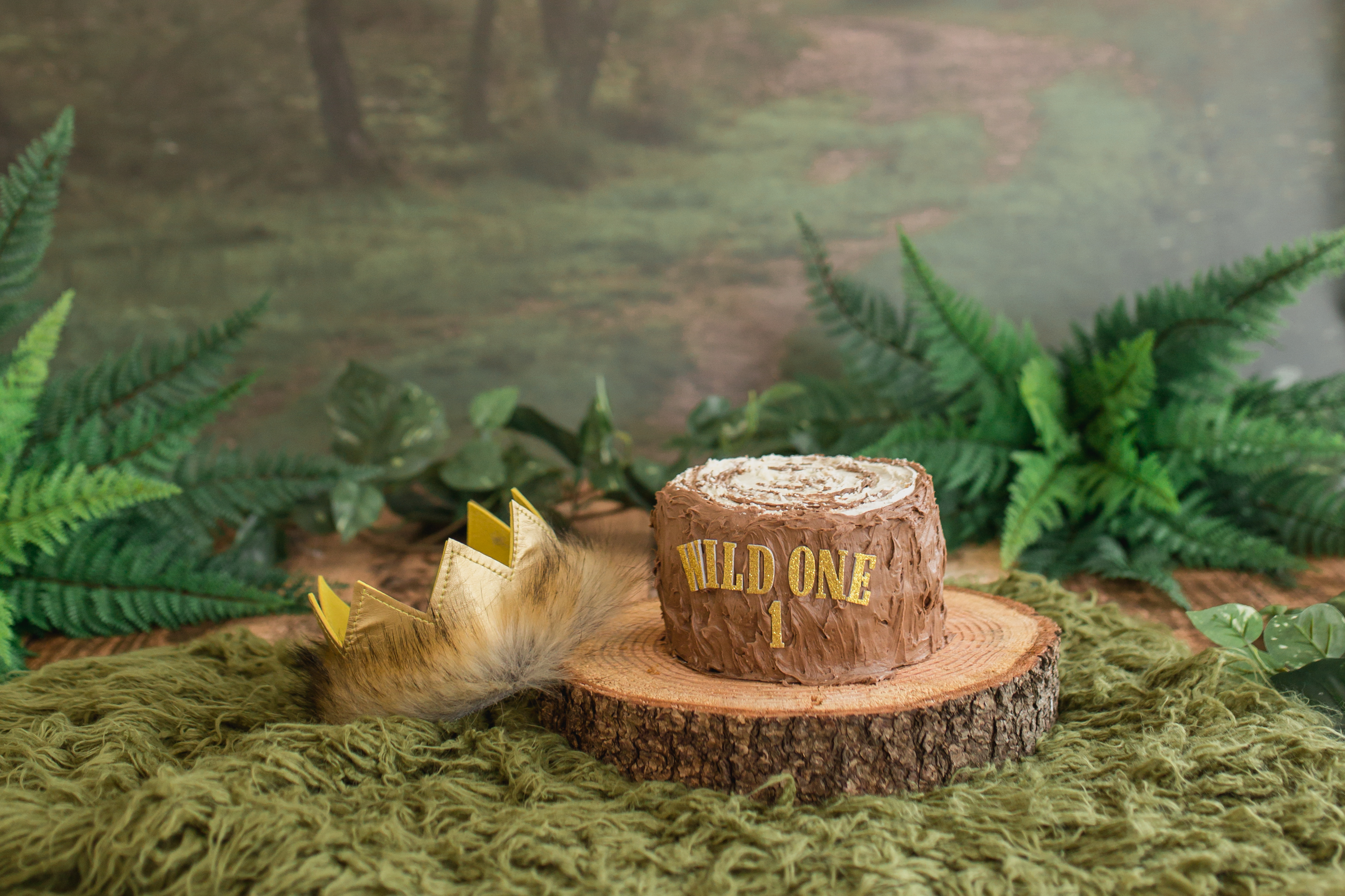 Where The Wild Things Are Cake Smash