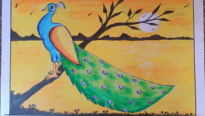 Peacock R National P