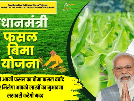 Pradhan Mantri Fasal Bima Yojana (PMFBY): A Safety Shield for Your Crops