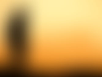 Souviens-toi de ton futur - 2