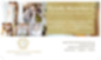 Marketing agency in Macarthur NSW