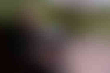 donetsk oblast humanitarian evacuation EastSOS NGO by humanitarian photographer Madison Tuff