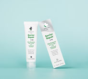 ALH.SPC.Barrier repair.jpg