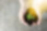 Holding Plant_edited.jpg