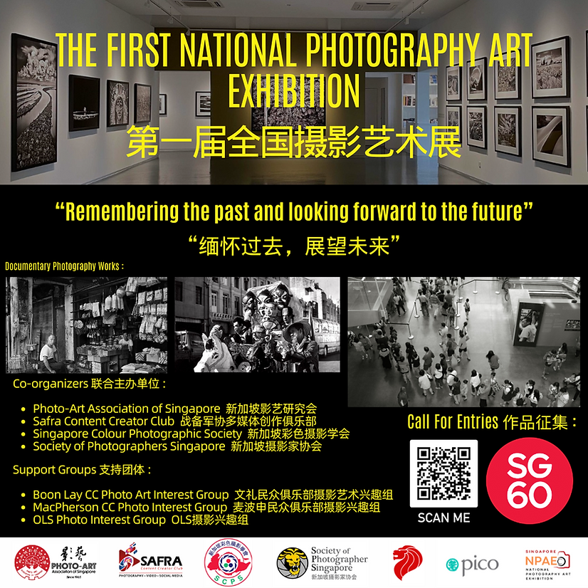 1st NPAE Poster Version 2.png