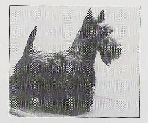 1964 GILLSIE Highland Lass