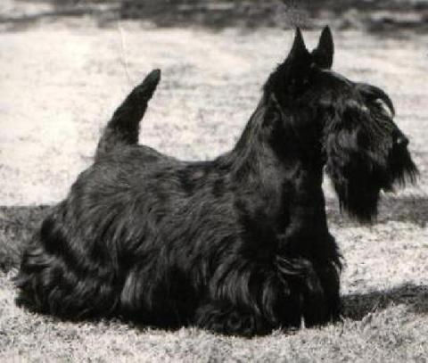 1974 GAYWIN Landmark