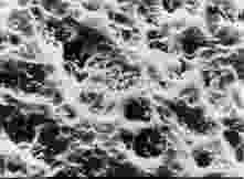 Glass under a microscope