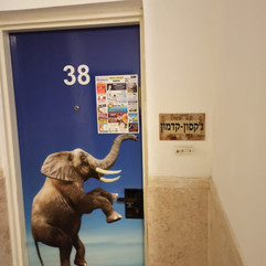 המגנט החכם - הראשון בדיוור
