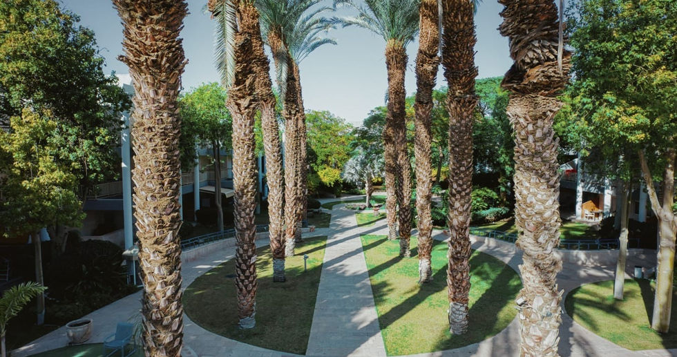 דירות נופש רויאל פארק אילת