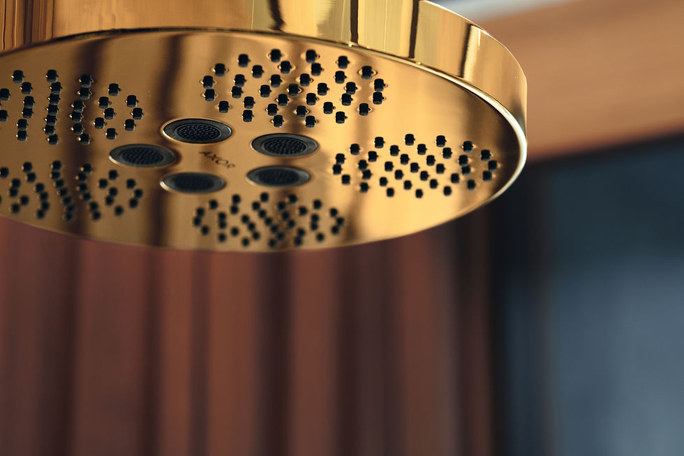 AXOR One Overhead 2 function Polished Gold