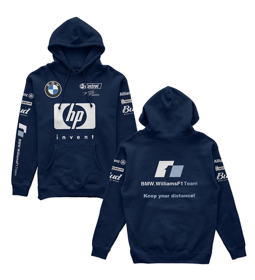 Miniatura: Williams BMW Retro Montoya Tribute