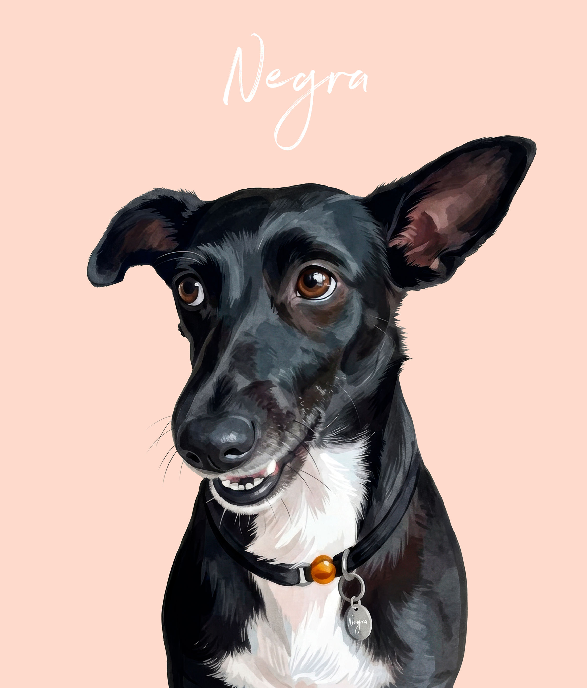 Cuadro Personalizado de Mascotas