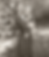 Frame 162781.png