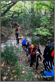 891=14-10-18_1110236 copy.jpg