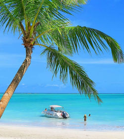 passeio praia da bruna maragogi