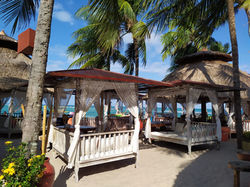 passeio catamarã praia de carneiros