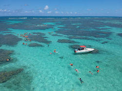 passeio piscinas naturais de maragogi