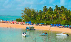 passeio ilha de santo aleixo